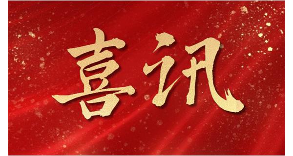 喜讯|建阳龙翔科技荣获“南平市2024年度纳税成长型企业”和“科技创新优秀企业”荣誉
